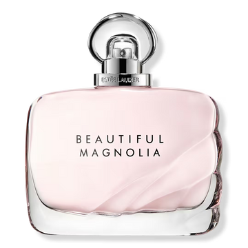 Beautiful magnolia