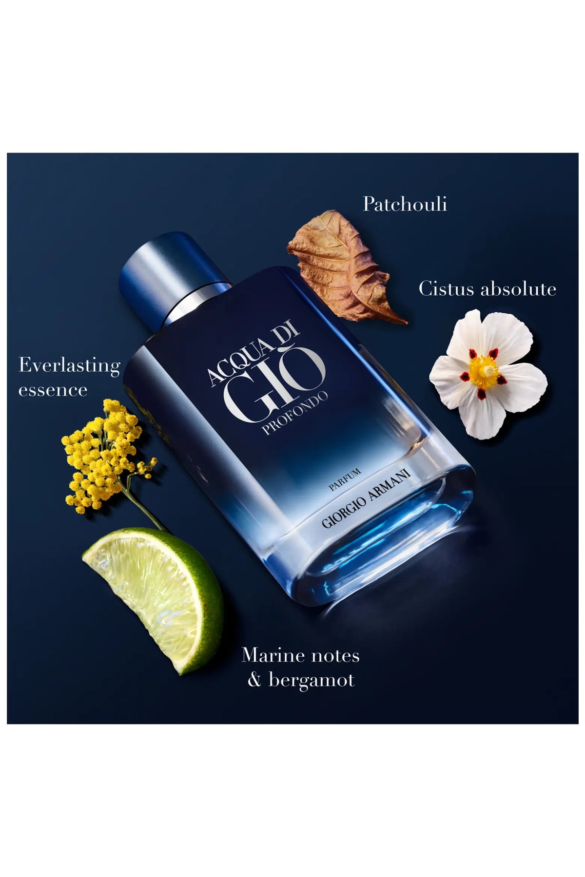 Acqua Di Gió Profondo Parfum