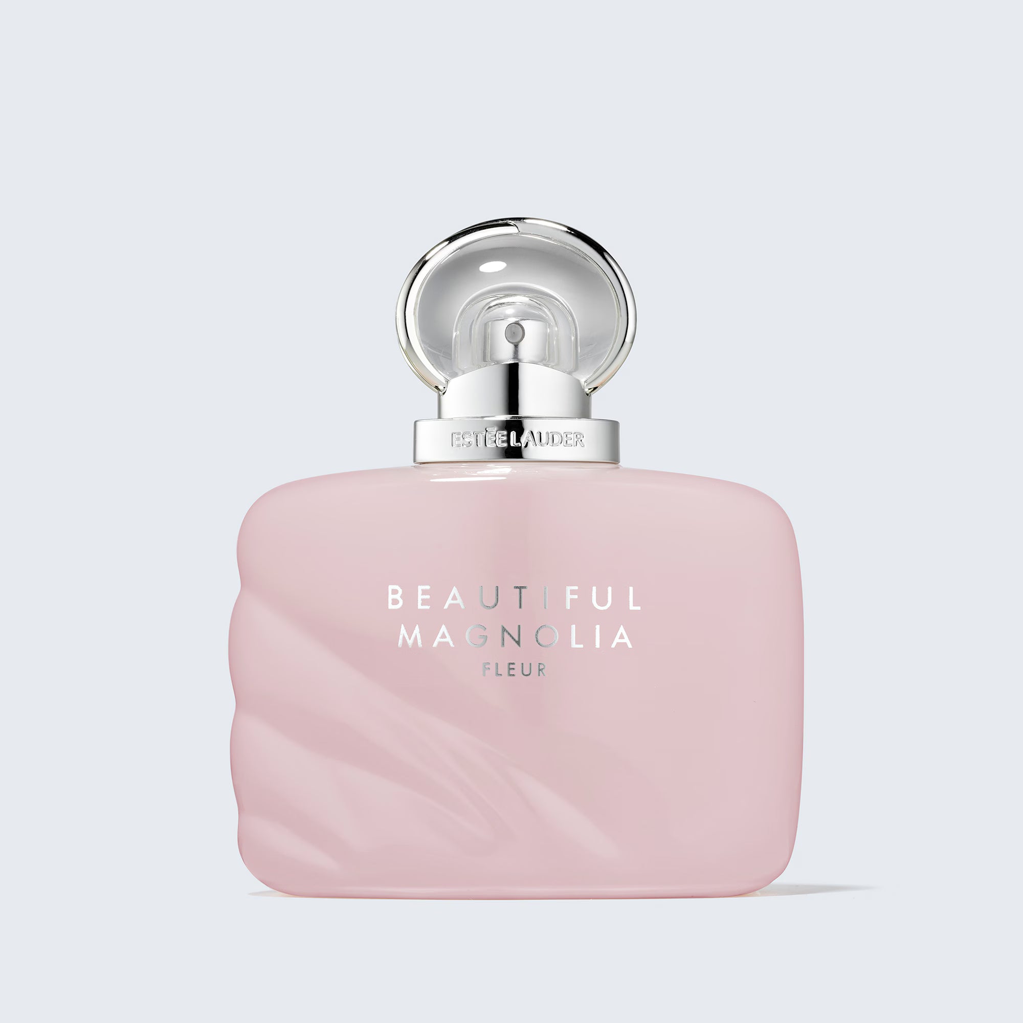 Beautiful magnolia fleur