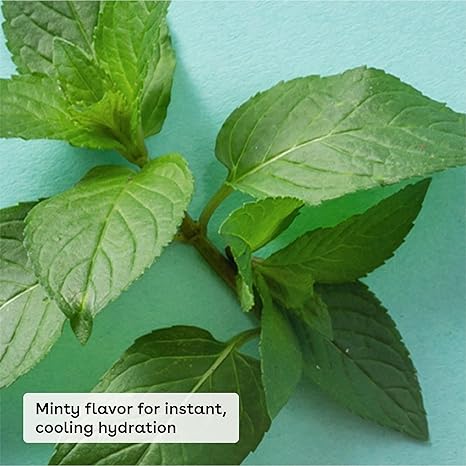 Medicated Lip Balm - The Fixer | Lip Care to Repair and Protect Chapped and Dry Lips