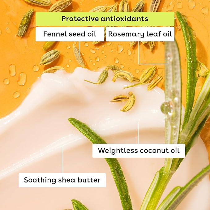 Tropical Chiller Lip Balm Variety Pack